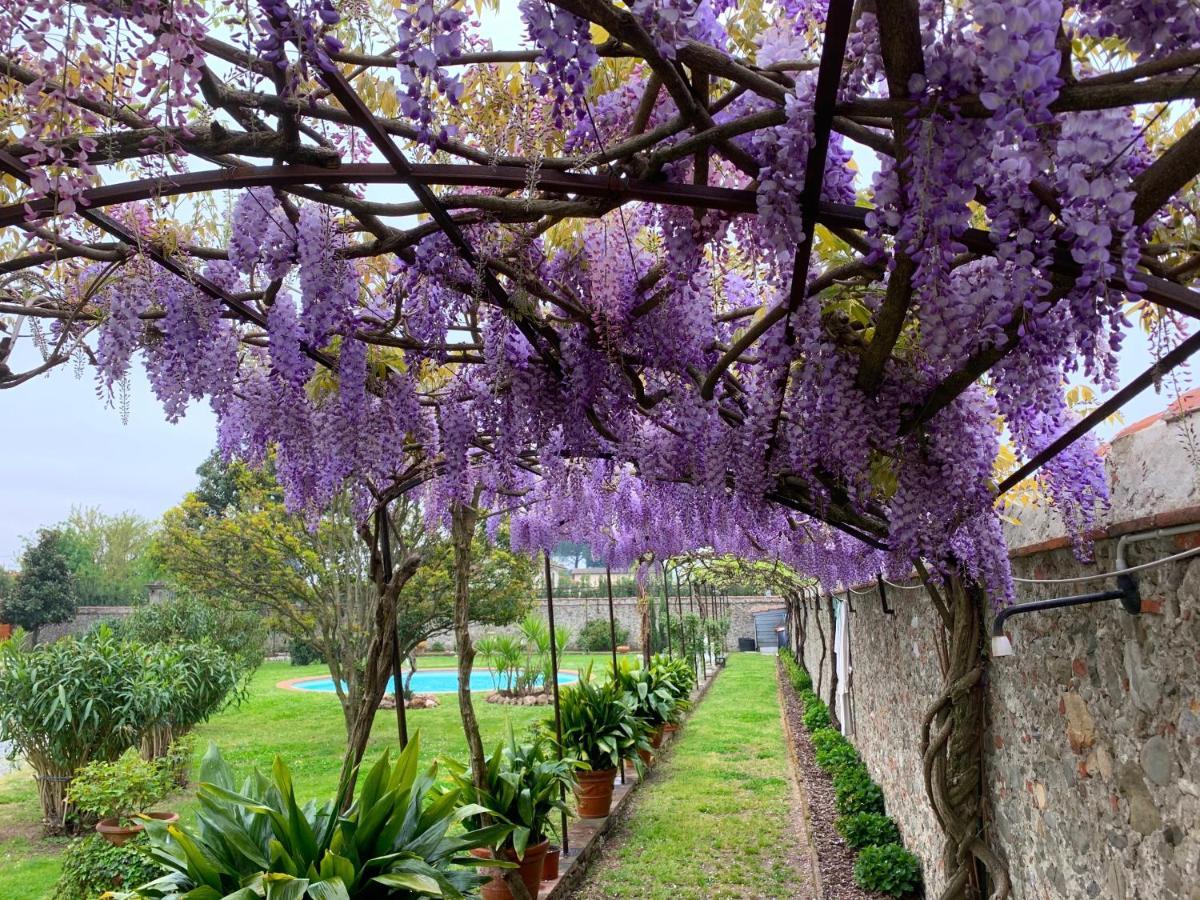 Villa La Preziosa 卢卡 外观 照片