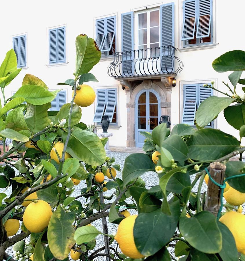 Villa La Preziosa 卢卡 外观 照片